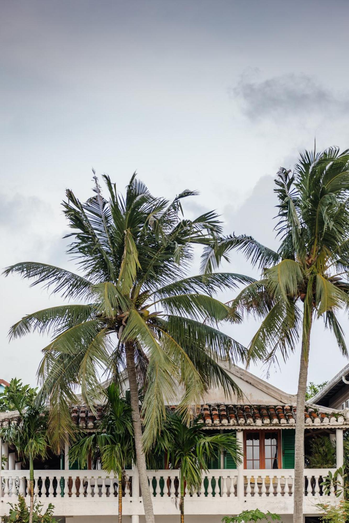 Heron House Hoi An Exterior photo